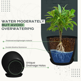 Utopia Home drainage system planter helps manage water and root health