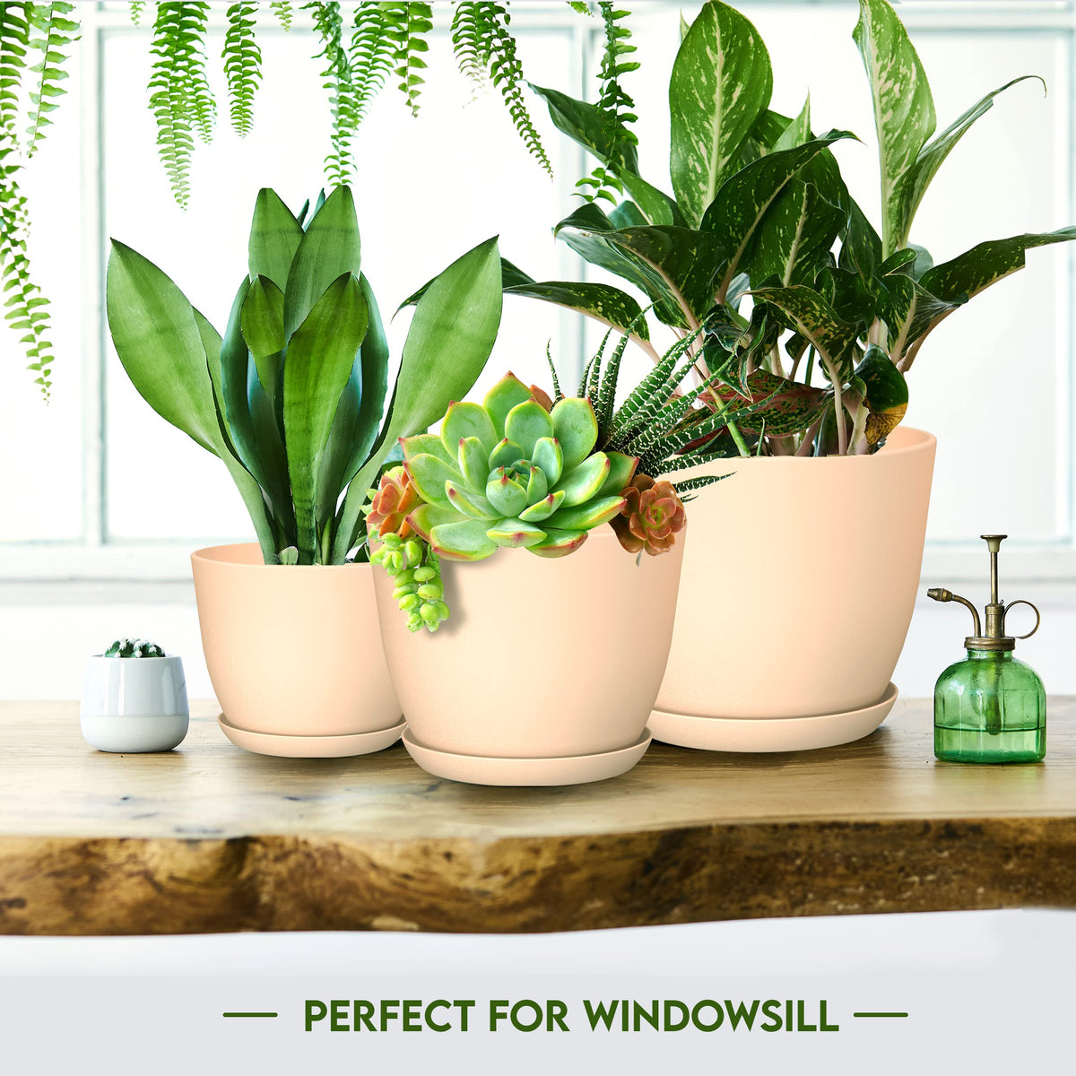 Utopia Home matching saucers for indoor planters in pink to protect surfaces