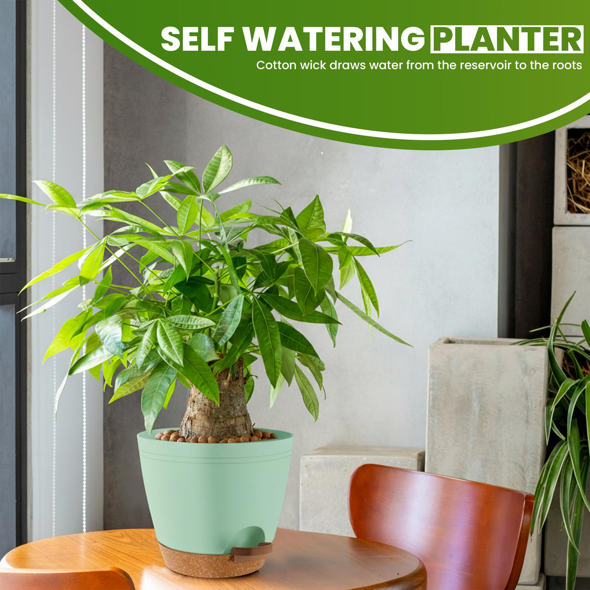 Utopia Home matte olive-green planters on window sill brighten decor.