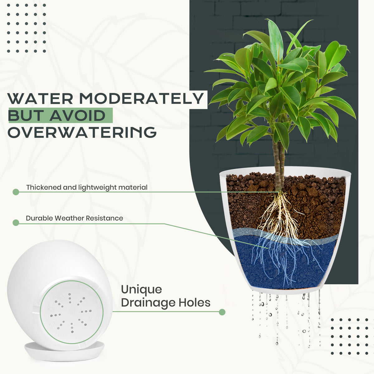 Utopia Home 6-inch drainage pot for compact spaces and tidy drainage.