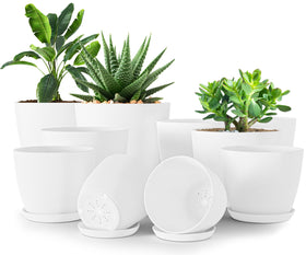 Utopia Home 7-inch drainage pot for indoor gardening and easy watering.