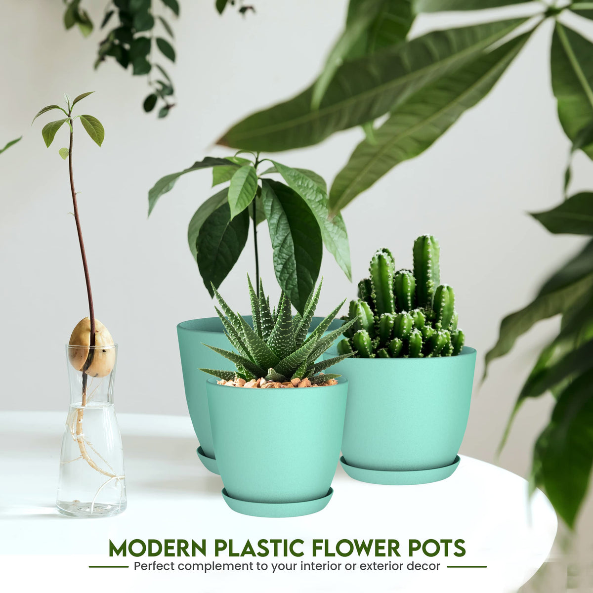 Utopia Home aqua 4.8-inch plant pot with drainage for versatile indoor use