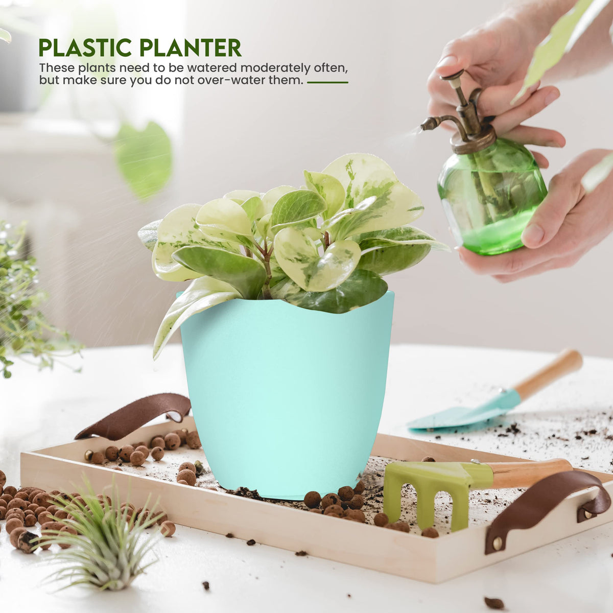 Utopia Home aqua 5.3-inch plant pot with drainage ideal for desk plants