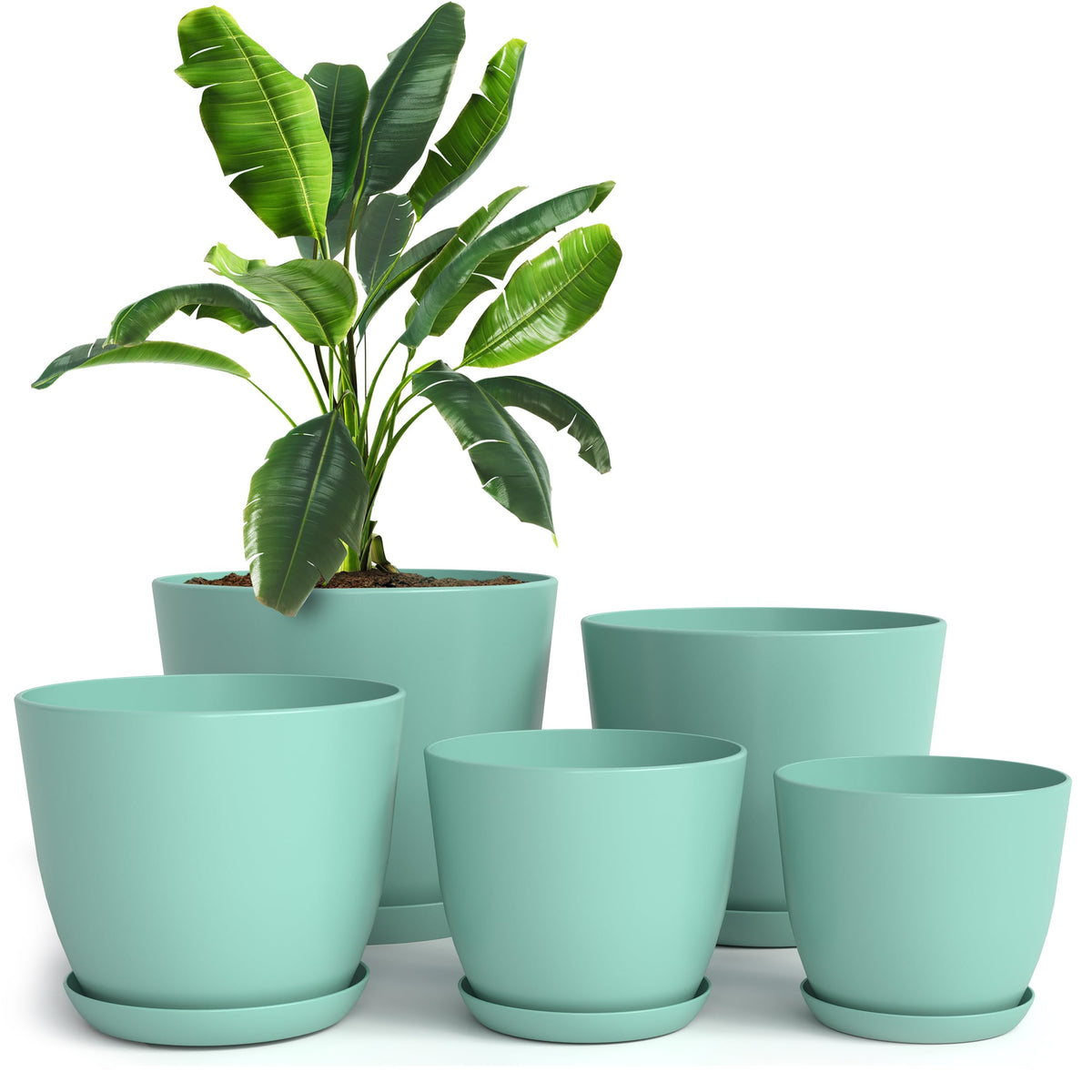 Utopia Home aqua 7-inch plant pot with drainage for healthy roots