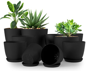 Utopia Home indoor plant pots set of 10 with drainage for organized decor