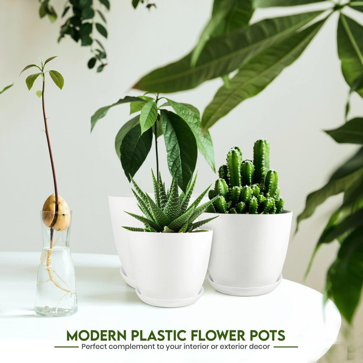 Utopia Home 4.8-inch white plant pot for small herbs.
