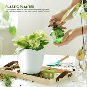 Utopia Home 5.3-inch white plant pot with drainage plugs for indoor greenery.