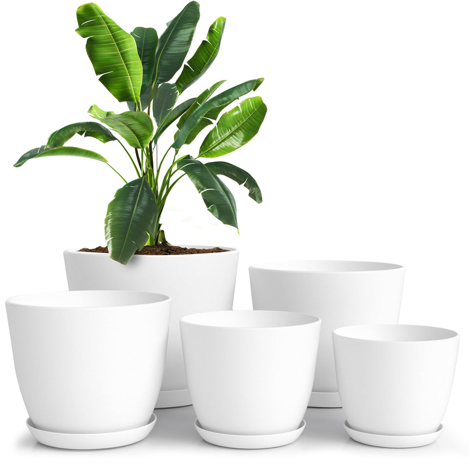 Utopia Home 7-inch white plant pot with drainage holes for healthier roots.