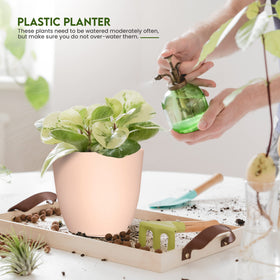 Utopia Home plant pots with drainage in pink, 5.3-inch small pot for compact spaces