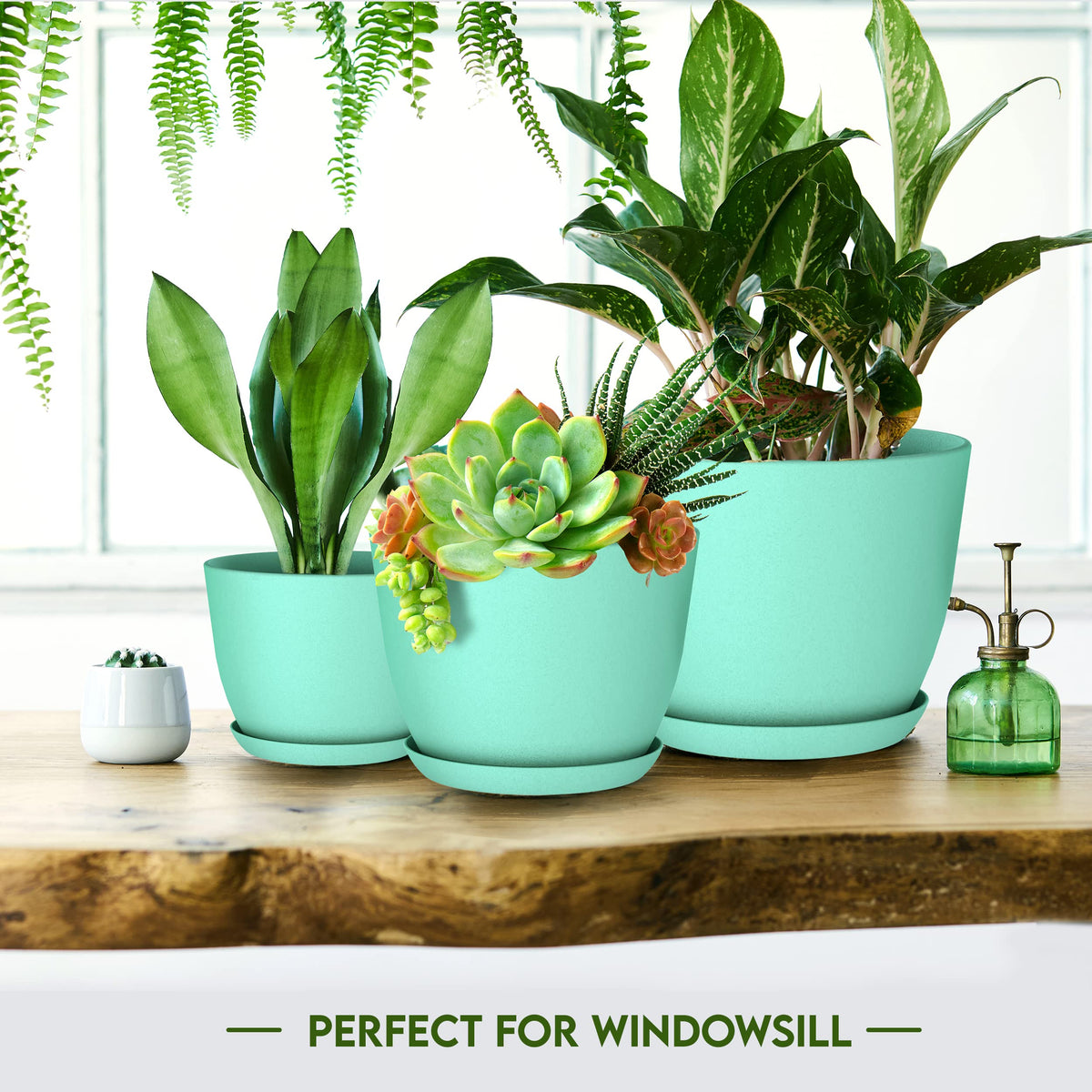 Utopia Home aqua matching saucer set for spill-free plant care