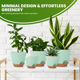 Utopia Home 4-9 inch olive green pot fits compact desks or windowsills.