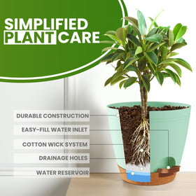 Utopia Home 5-5 inch olive green pot features removable reservoir for easy refilling.