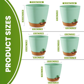 Utopia Home self-watering pot 6-4 inch in olive green with reservoir helps maintain consistent moisture.