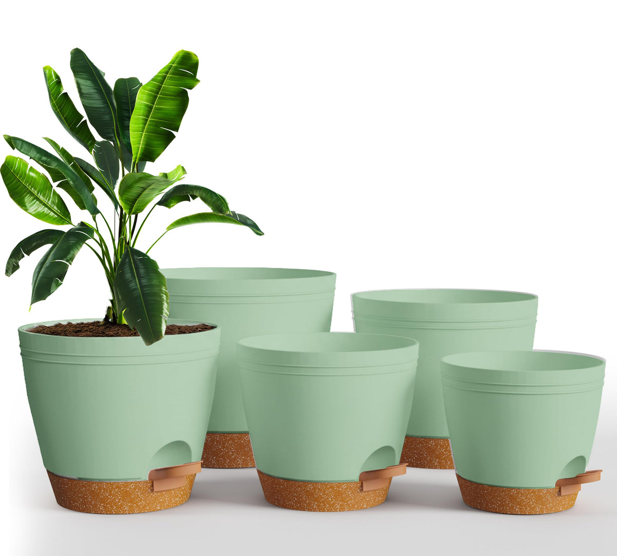 Utopia Home self-watering pot on a shelf in olive green supports thriving indoor plants.