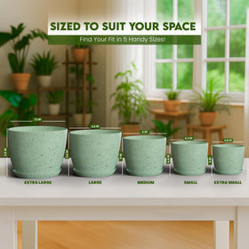 Utopia Home five-pack speckled mint plant pots for gifting and decor.