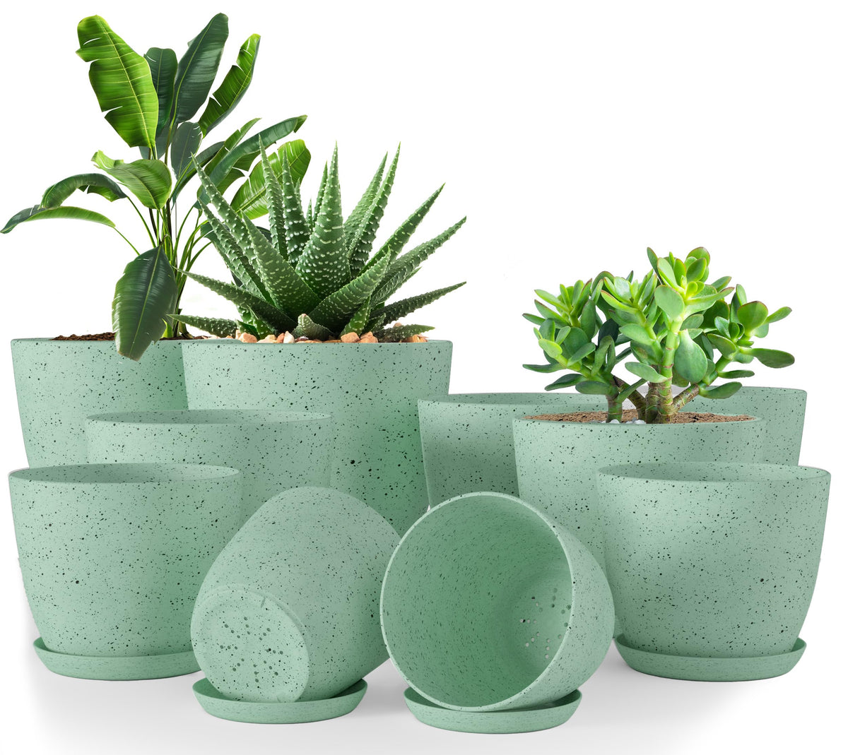 Utopia Home spotty plant pots pack of 10 in mint speckle for indoor decor and easy drainage