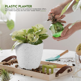 Utopia Home spotty pot 4.8-inch grey perfect for tiny succulents