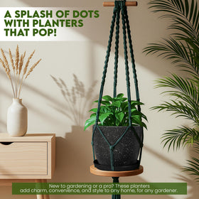 Utopia Home spotty pot 6-6-inch lightweight planter for indoor herbs