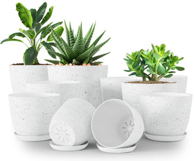 Utopia Home spotty pot 7-inch grey with drainage for stylish indoor plants