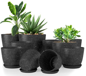 Utopia Home spotty pot 7-inch with drainage, ideal for windowsill succulents