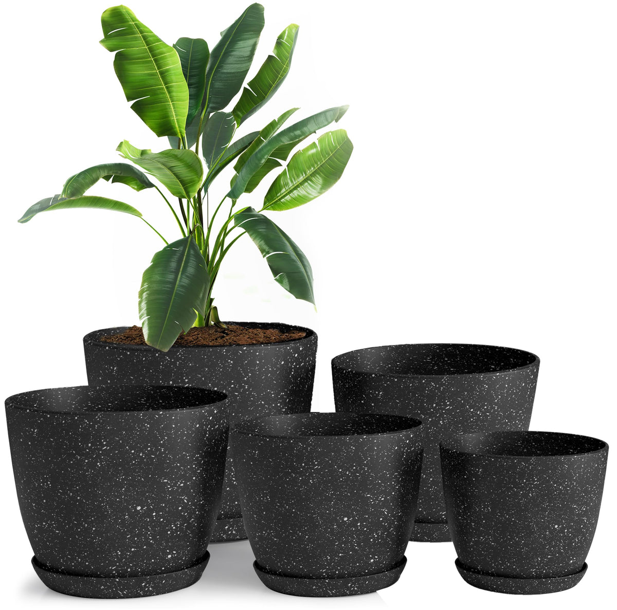 Utopia Home spotty pot 7-inch with drainage for succulents on a sunny windowsill