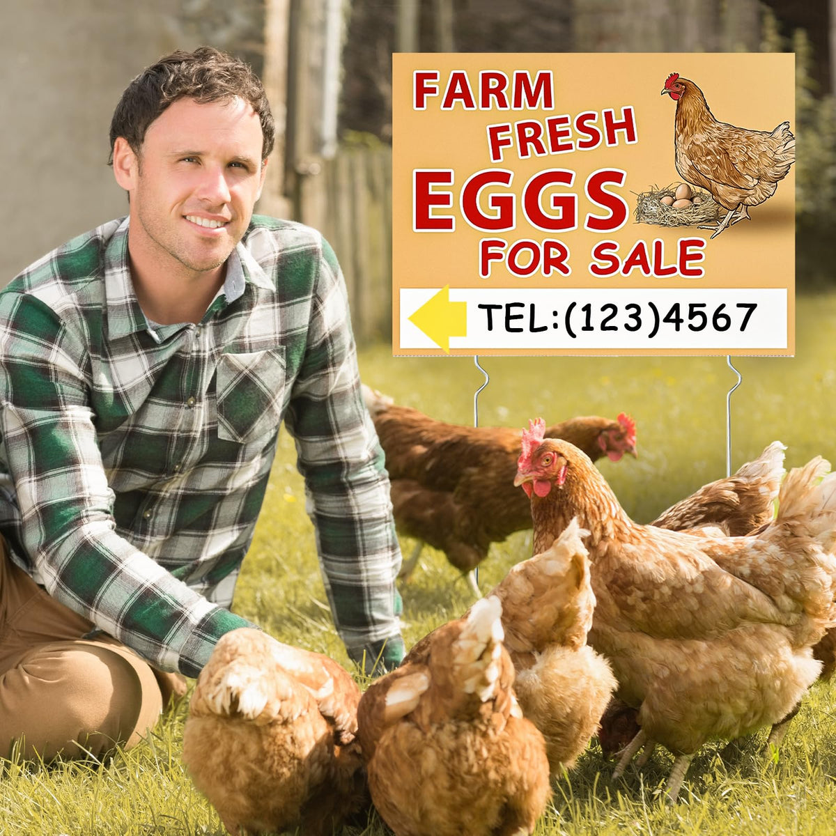 UTOUMON egg sign with six metal stakes for sturdy outdoor setup