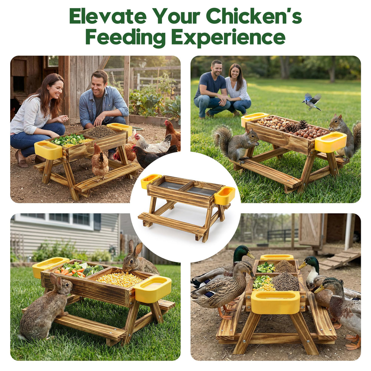 UUMENHA backyard poultry setup with integrated feeder and waterers