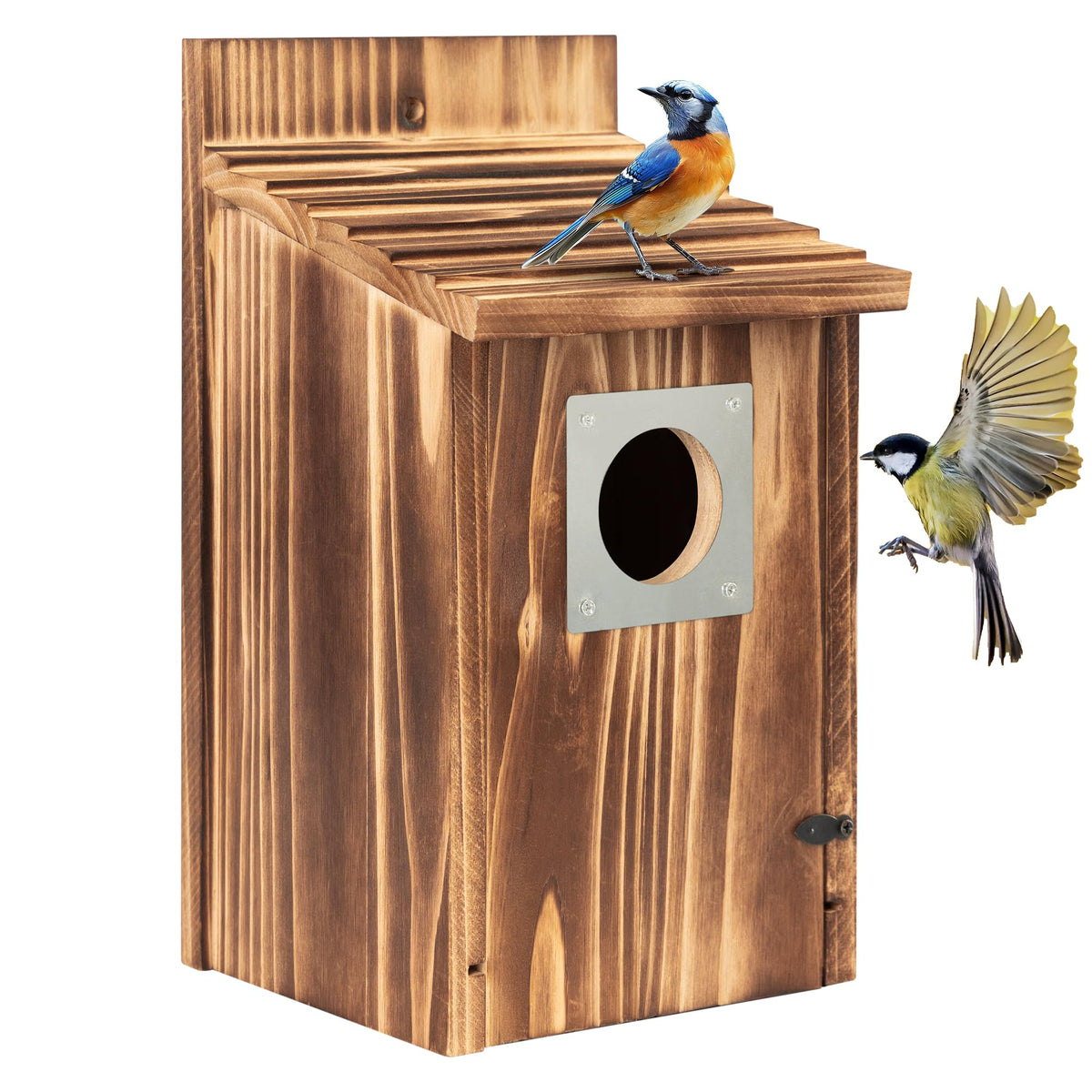 UUMENHA bird house with predator guard attracts bluebirds safely.