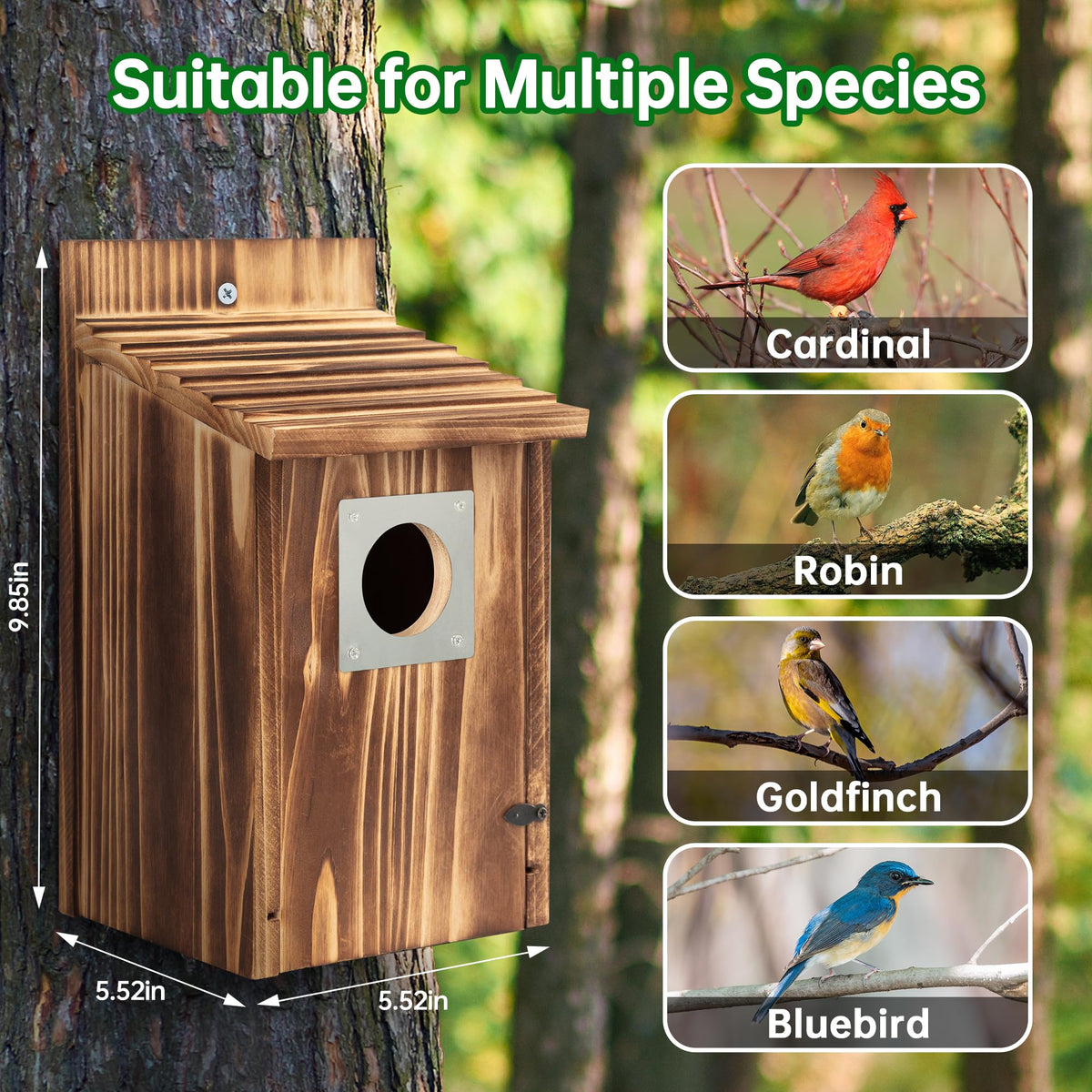 UUMENHA predator guard helps protect fledglings from threats.