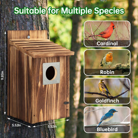 UUMENHA predator guard helps protect fledglings from threats.