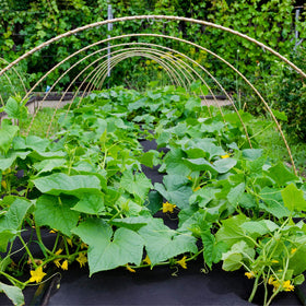 UWIOFF weed barrier cut-to-fit makes easy installation for any landscape project