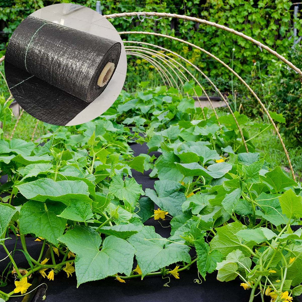 UWIOFF permeable weed cloth maintains soil moisture without blocking airflow.
