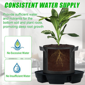 UYEDUJZ 5m wick line enables auto-watering to roots.