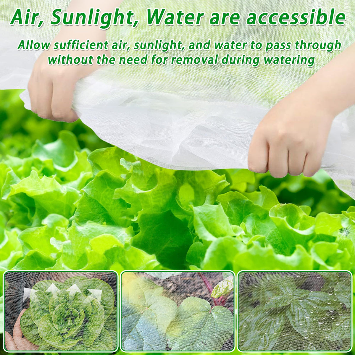 UYEDUJZ bird netting protects tomatoes and berries from birds and insects.