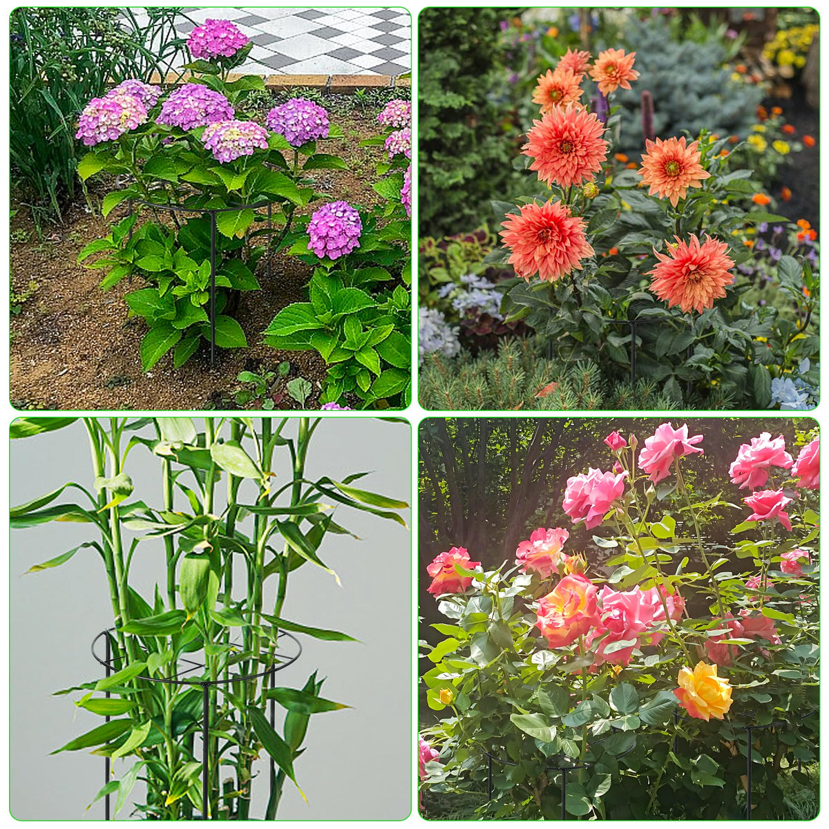 UYEDUJZ compatible with tomatoes, hydrangeas, roses and other large outdoor plants