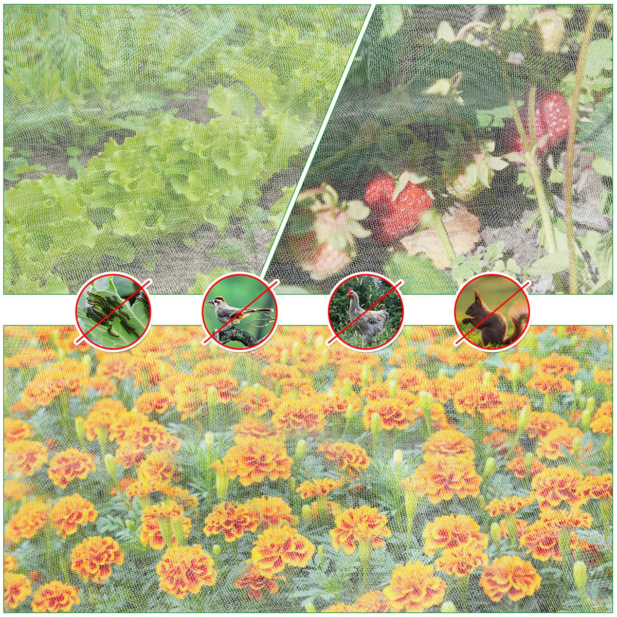 UYEDUJZ pack includes 16 clips to anchor the netting securely.