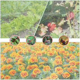 UYEDUJZ pack includes 16 clips to anchor the netting securely.