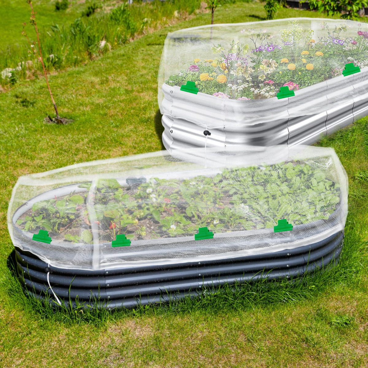 UYEDUJZ raised bed cover ideal for blueberries and tomatoes.
