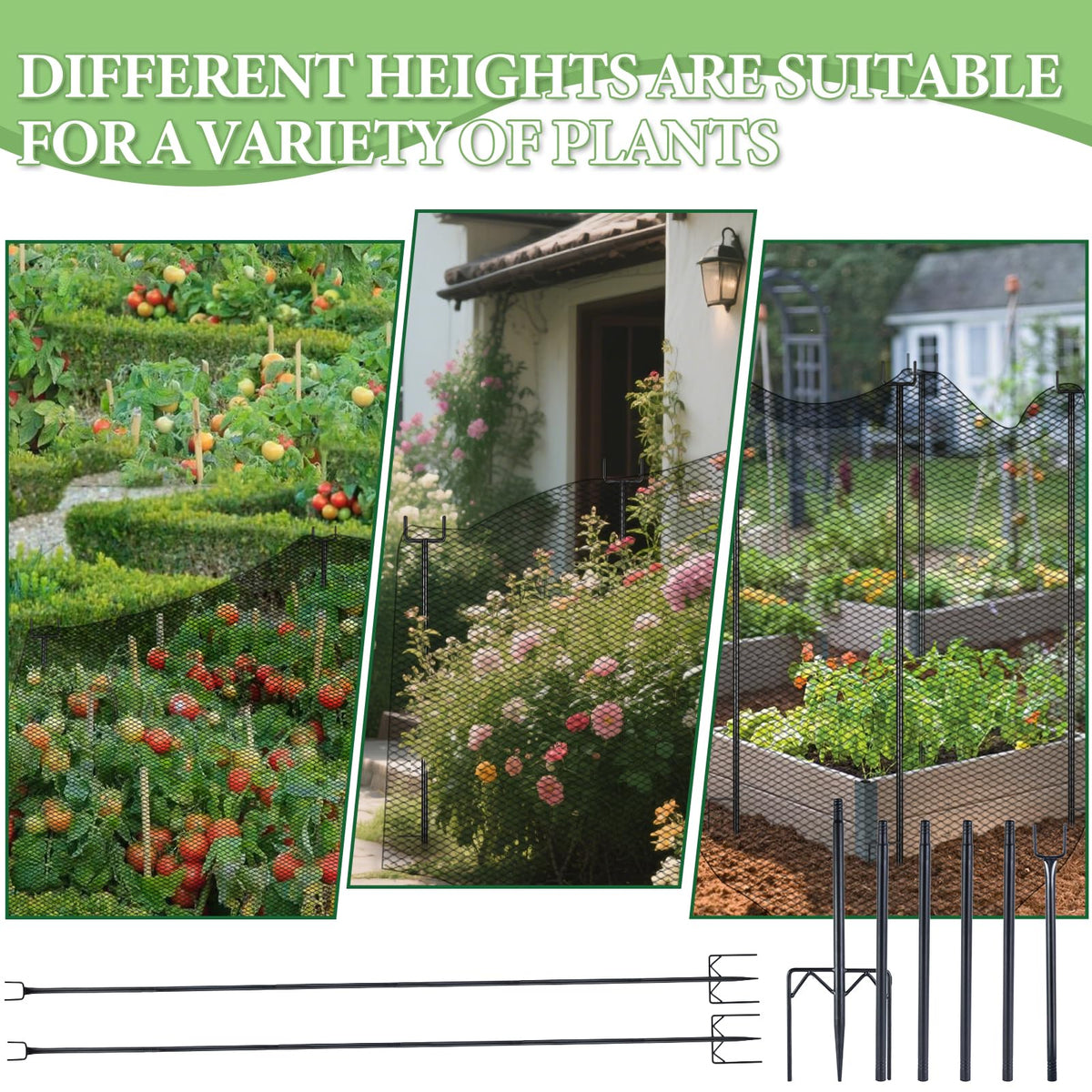 Uyeesi netting-support in garden bed demonstrates active plant protection