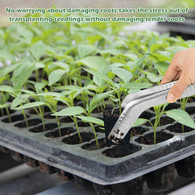 Uyeesi seedling tongs gripping a seedling in a tray cell