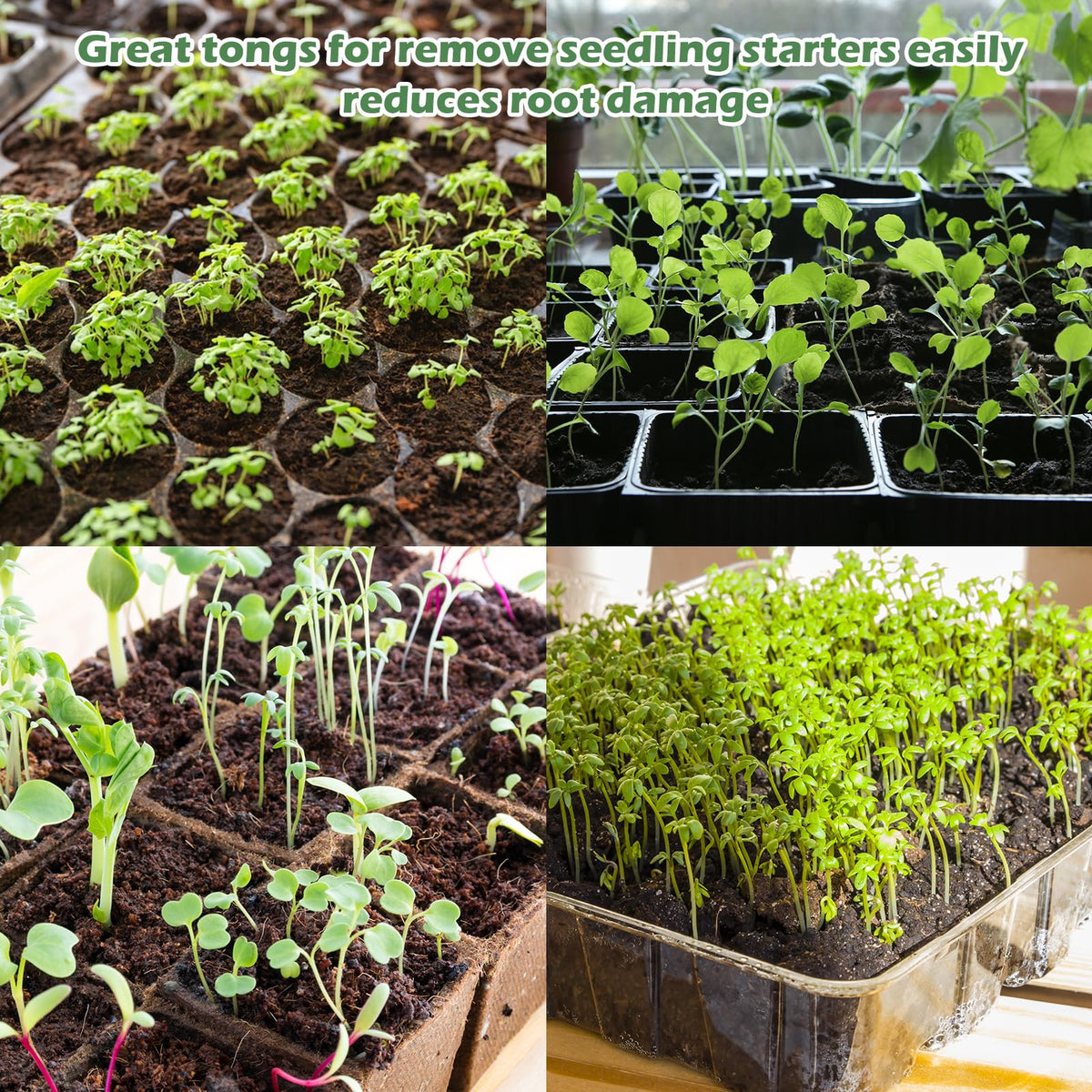 Uyeesi seedling tongs packaging illustrating gift-ready presentation for gardeners