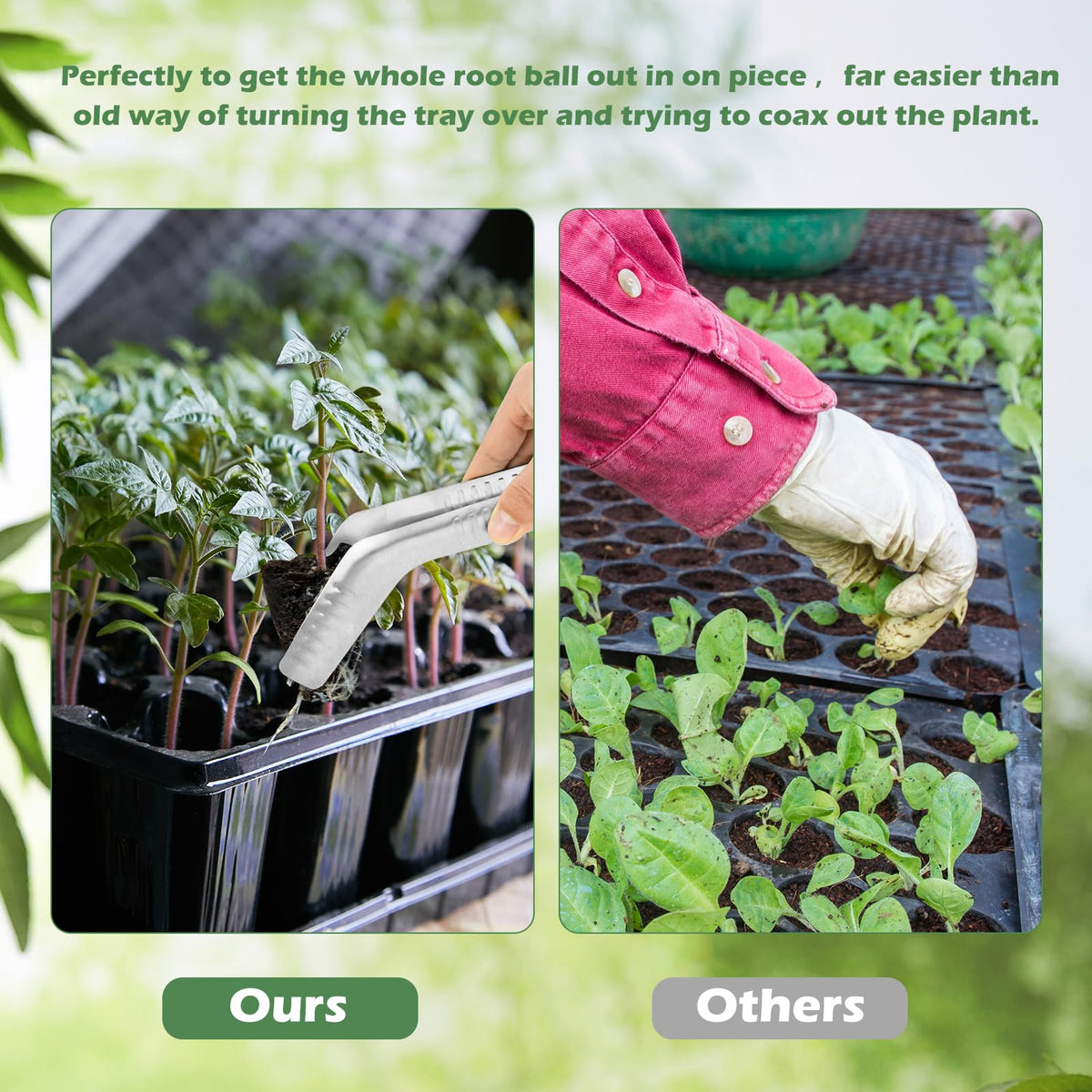 Uyeesi seedling tongs two-pack ready for transplanting tasks in garden