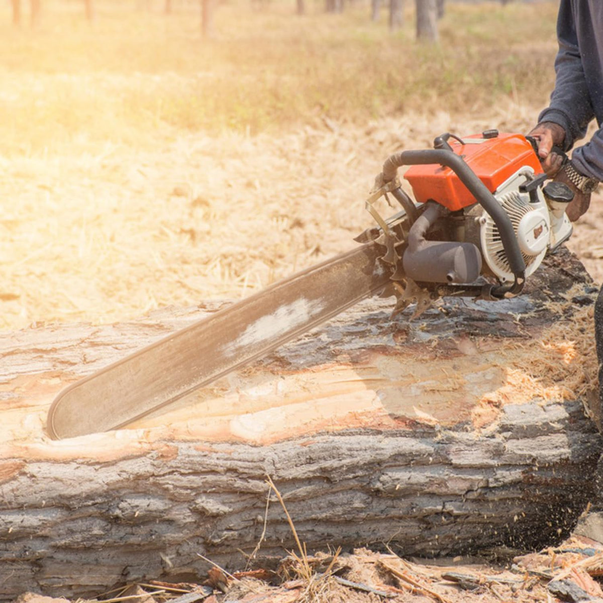 V-MODEST compatible with Stihl and Husqvarna saws for versatile replacement