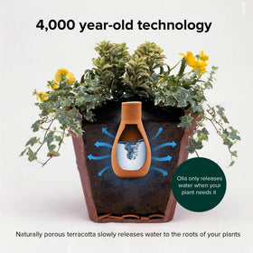 Vacation-friendly irrigation keeps plants hydrated while you are away.