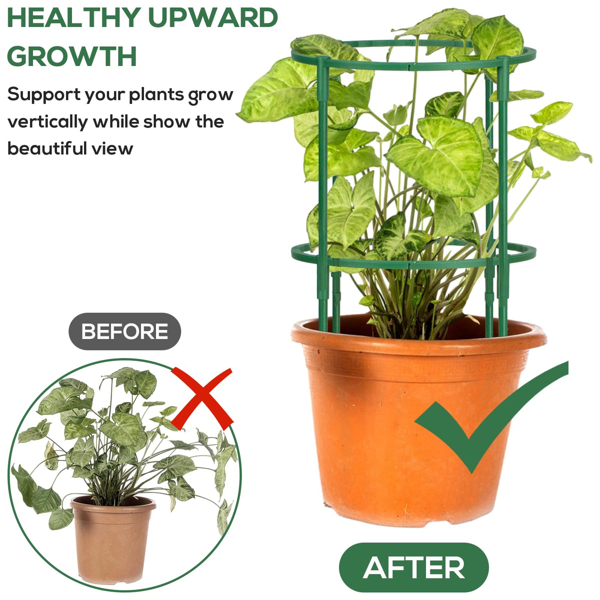 VACONICO half-round arc stake provides sturdy, customizable support for climbing plants.