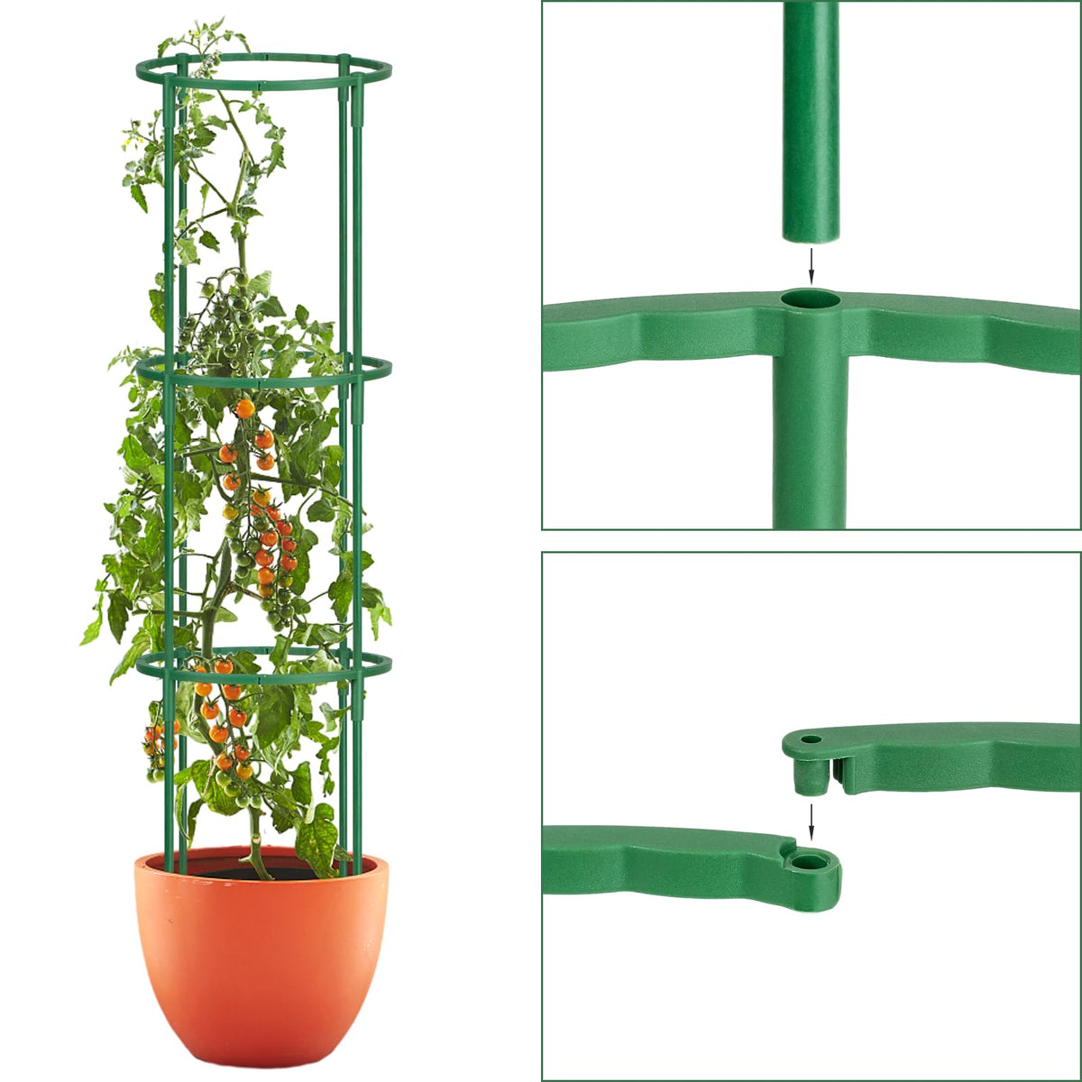 VACONICO Monstera stake guides indoor plant growth with discreet green finish.