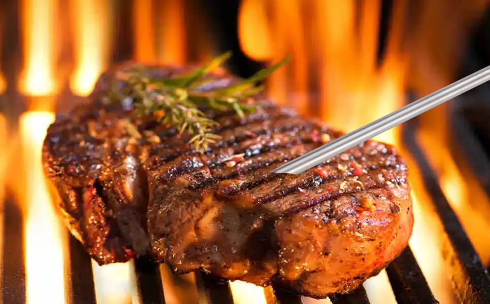 VAGLOBA two probes with clips for easy multi-probe grilling