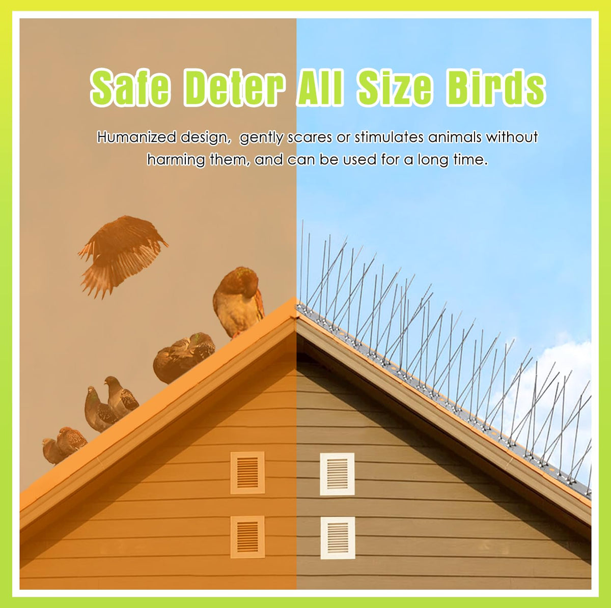 Valibe 12-pack spikes offer affordable long-term bird control