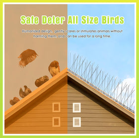 Valibe 12-pack spikes offer affordable long-term bird control