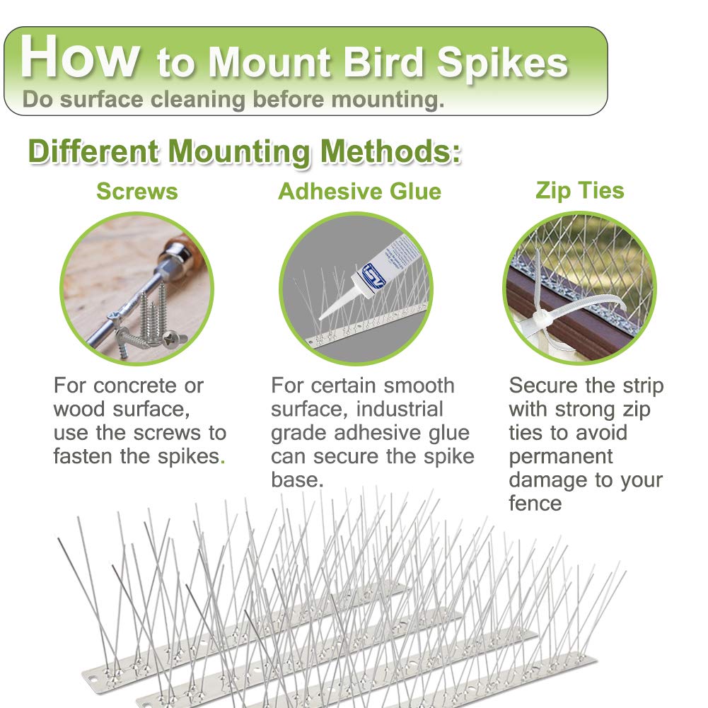 Valibe bird spikes secured to concrete with outdoor adhesive